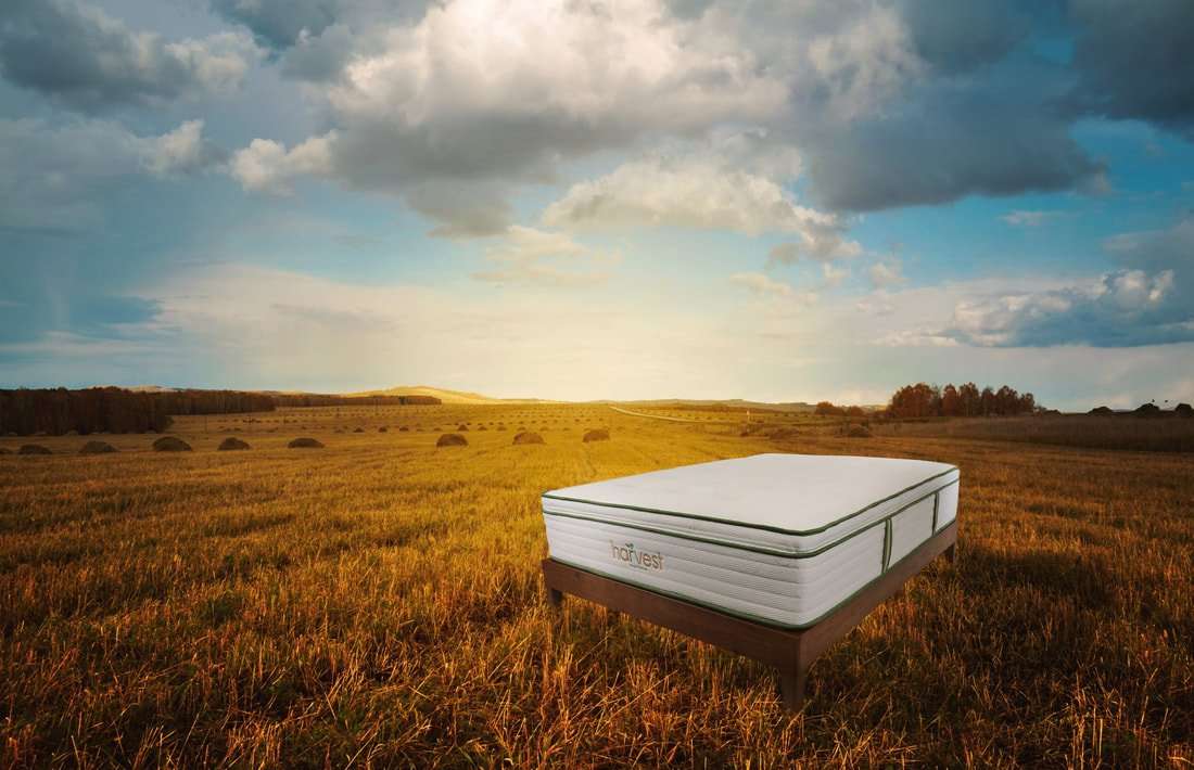 Harvest Green Organic Mattresses