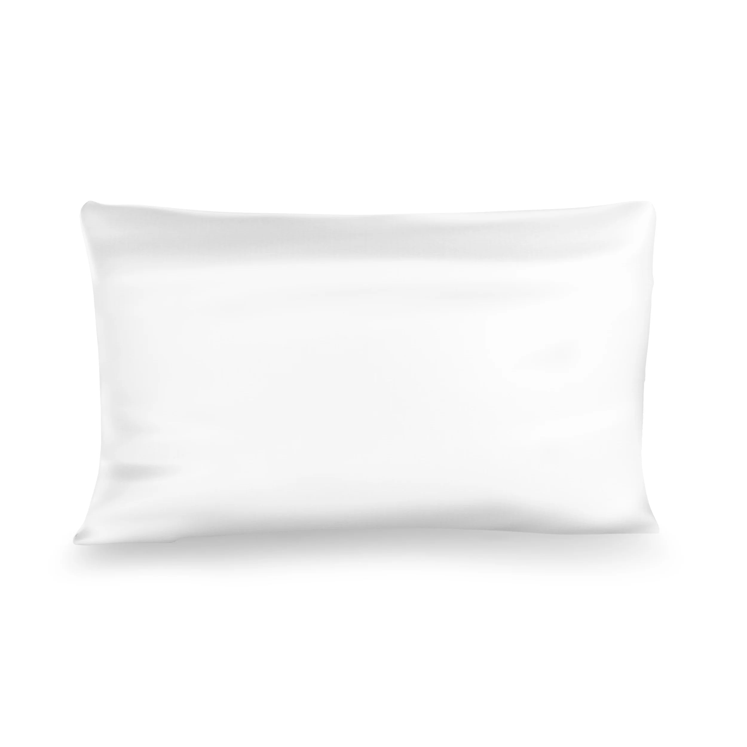 Rize Silk Pillow Case